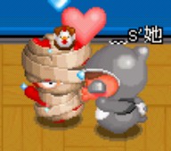 我555...